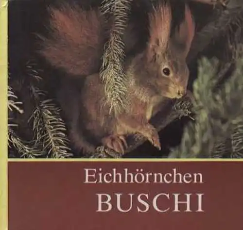 Buch: Eichhörnchen Buschi, Massny, Helmut. 1981, Rudolf Arnold Verlag
