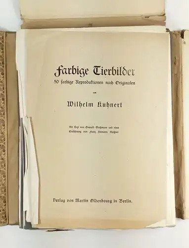 Buch: Farbige Tierbilder, Kuhnert, Wilhelm / Graßmann, Oswald. 1907