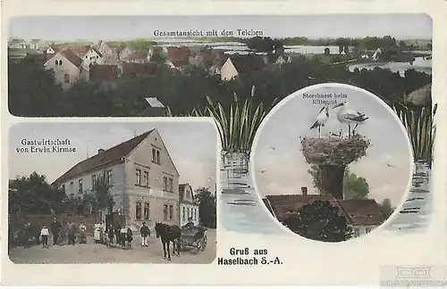 AK Gruß aus Haselbach S.-A. Gesamtansicht mit den Teichen ca. 1913, Postkarte