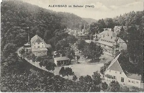 AK Alexisbad im Selketal (Harz). ca. 1918, Postkarte. Serien Nr, ca. 1918