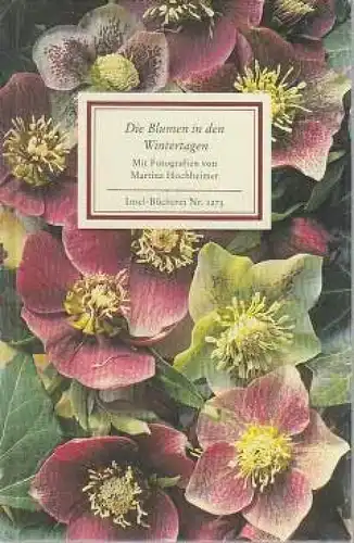 Buch: Die Blumen in den Wintertagen, Hochheimer, Martina. Insel-Bücherei, 2005