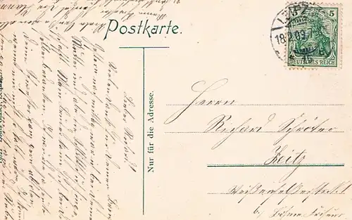 AK Leipzig. Palmengarten. ca. 1909, Postkarte. Nr. 13622, 1909, gebraucht, gut