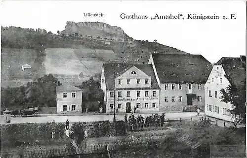 AK Lilienstein. Gasthaus Amtshof. Königstein a. E. ca. 1910, Postkarte. Ca. 1910