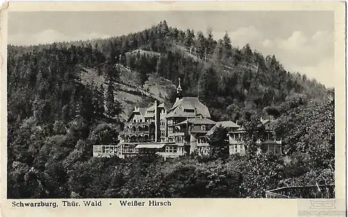 AK Schwarzburg. Thür. Wald. Weißer Hirsch. ca. 1965, Postkarte. Serien Nr