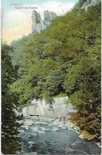 AK Thale. Bodetal mit Bodetor. ca. 1913, Postkarte. Serien Nr, ca. 1913
