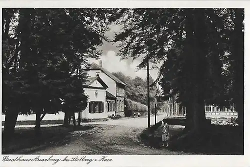 AK Gasthaus Auerberg bei Stollberg i. Harz. ca. 1915, Postkarte. Serien Nr