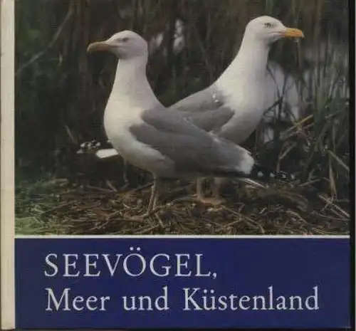 Buch: Seevögel, Meer und Küstenland, Schönert, Claus. 1989, Rudolf Arnold Verlag