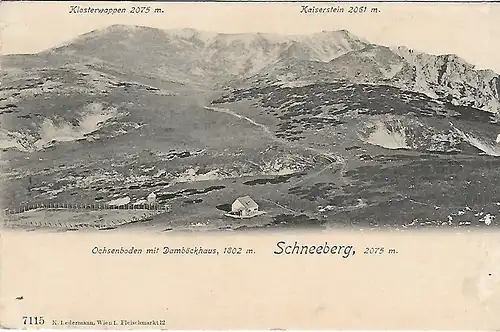 AK Schneeberg. Ochsenboden mit Damböckhaus ca. 1914, gebraucht, gut