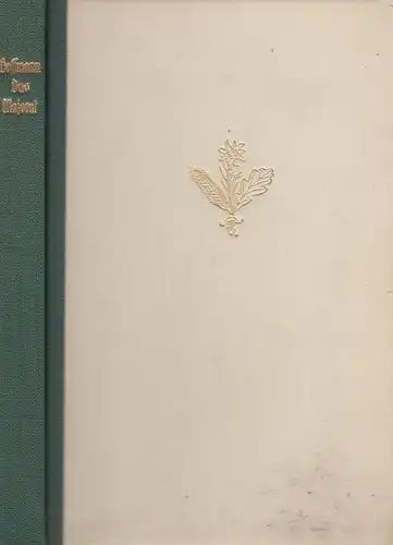 Buch: Das Majorat. Hoffmann, E. T. A., 1942, E. A. Hofmann Verlag