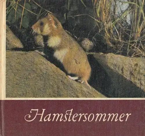 Buch: Hamstersommer, Massny, Helmut. 1983, Rudolf Arnold Verlag, gebraucht, gut