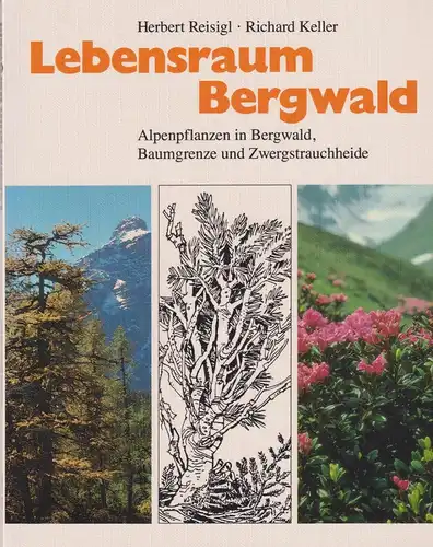 Buch: Lebensraum Bergwald, Reisigl, Herbert, Keller, Richard, 1989, Fischer, gut