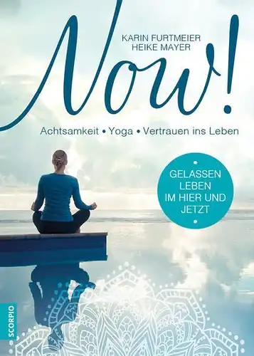Buch: Now!, Furtmeier, Karin, Mayer, Heike, 2016, Scorpio Verlag, gebraucht, gut