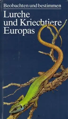 Buch: Lurche und Kriechtiere Europas, Engelmann. Beobachten und bestimmen, 1985