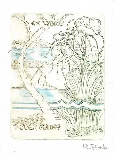 Original Grafik Exlibris: Peter Groh, Radierung, Poetz, Pflanzen, Natur, gut