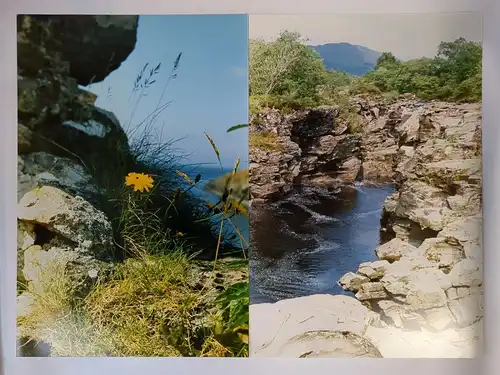 11 großformatige farbige Natur- und Pilzfotos, Schottland, Anlage 673, Agfa