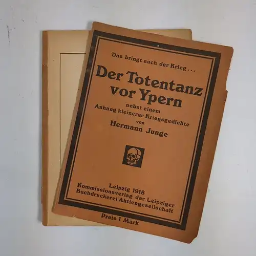 Buch: Der Totentanz vor Ypern, Junge, Hermann, 1918, Leipziger Buchdruckerei AG