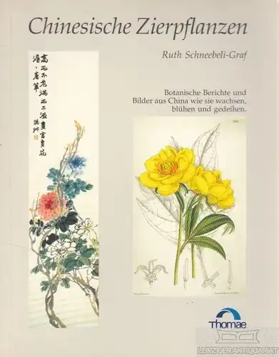 Buch: Chinesische Zierpflanzen, Schneebeli-Graf, Ruth. 1991, gebraucht, gut