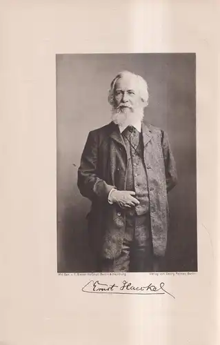 Buch: Der Kampf um den Entwicklungs-Gedanken, Ernst Haeckel, 1905, Georg Reimer