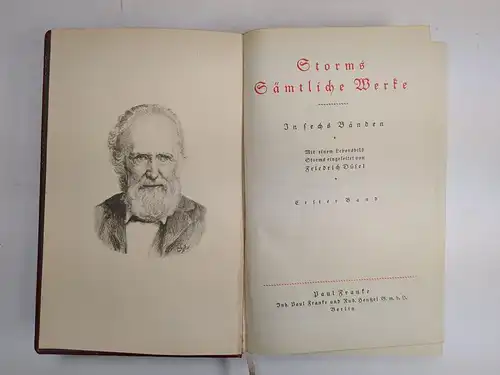 Buch: Storms Sämtliche Werke in sechs Bänden, Paul Franke Verlag, 6 in 3 Bänden