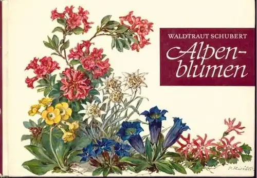 Buch: Alpenblumen, Schubert, Waldtraut. 1969, Neumann Verlag, gebraucht, gut