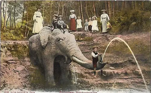AK Zürichberg. Elephantenbach ca. 1906, Postkarte. Serien Nr, ca. 1906