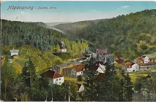 AK Mägdesprung i. Selketal. Harz. ca. 1913, Postkarte. Serien Nr, ca. 1913