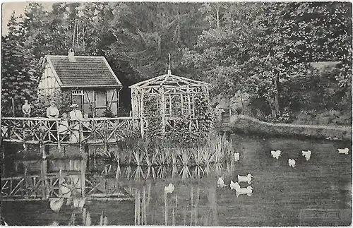 AK Forsbacher Mühle. ca. 1910, Postkarte. Serien Nr, ca. 1910, gebraucht, gut