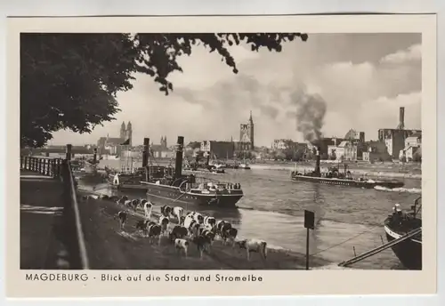 AK Magdeburg Blick auf der Stadt und Stromelbe, ca. 1956, Gebr. Garloff