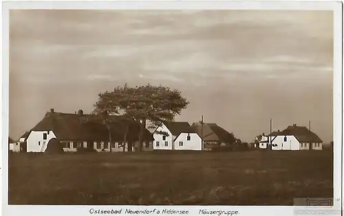 AK Ostseebad Neuendorf a. Hiddensee. Häusergruppe. ca. 1930, Postkarte