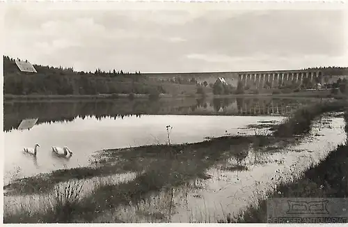 AK Muldenberg i. Vogtl. Partie an der Talsperre. ca. 1925, Postkarte. Serien Nr