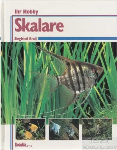 Buch: Skalare, Brall, Siegfried. Ihr Hobby, 1998, bede-Verlag, gebraucht, gut