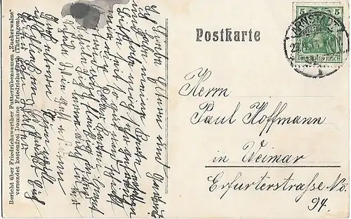 AK Zucht des großen weißen Edelschweines. Friedrichswerth... Postkarte. Ca. 1913