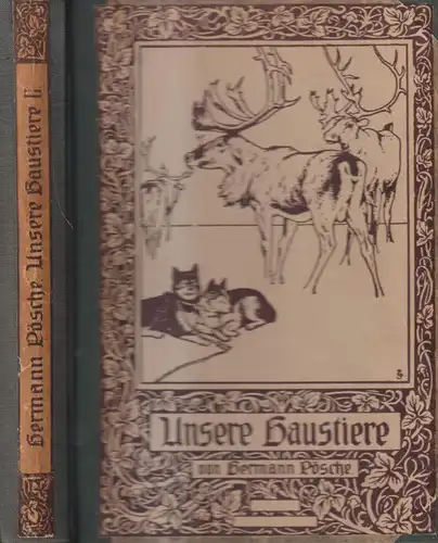Buch: Unsere Haustiere II, Hermann Pösche, 1906, Otto Spamer Verlag, Tierwelt