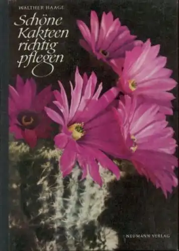 Buch: Schöne Kakteen richtig pflegen, Haage, Walther. 1979, Neumann Verlag