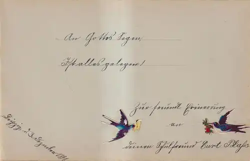 Buch: Album. Privates Poesiealbum, 1890-1892, gebraucht, gut, Leinenband