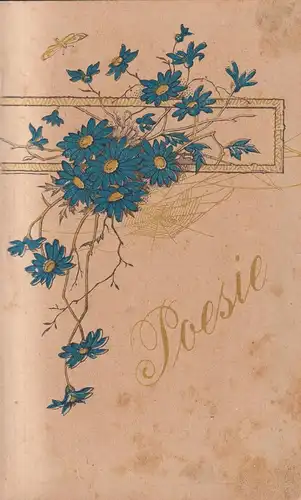 Buch: Poesie. Privates Poesiealbum, 1901, gebraucht, gut, Lederband