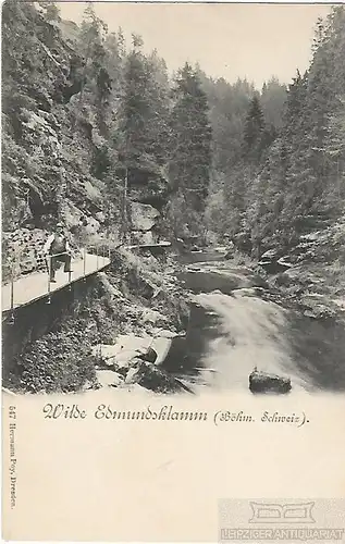 AK Wilde Edmundsklamm. Böhm. Schweiz. ca. 1902, Postkarte. Serien Nr, ca. 1902