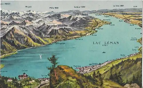 AK Panorama du Lac Leman. ca. 1913, Postkarte. Serien Nr, ca. 1913