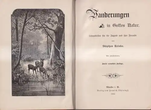 Buch: Wanderungen in Gottes Natur, Stephan Reinke, 1905, Heinrich Schöningh