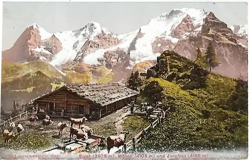 AK Eiger. Mönch und Jungfrau. ca. 1912, Postkarte. Serien Nr, ca. 1912
