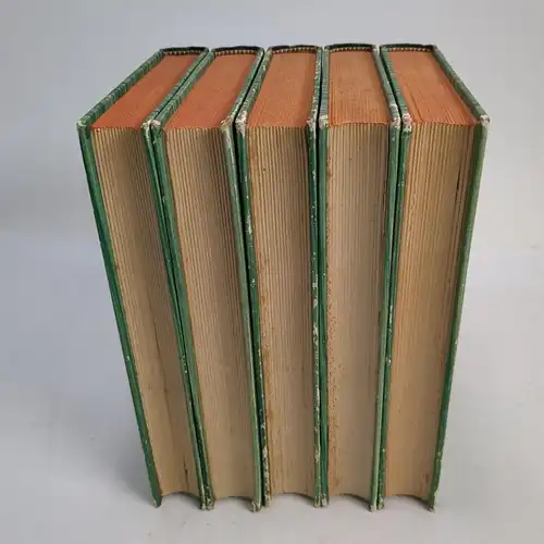 Buch: Theodor Storm - Sämtliche Werke, 5 Bände, 1924, Ullstein, gebraucht, gut