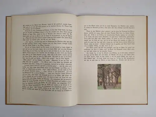 Buch: Die Historie von der schönen Lau, Eduard Mörike, Holbein, Karl Stirner