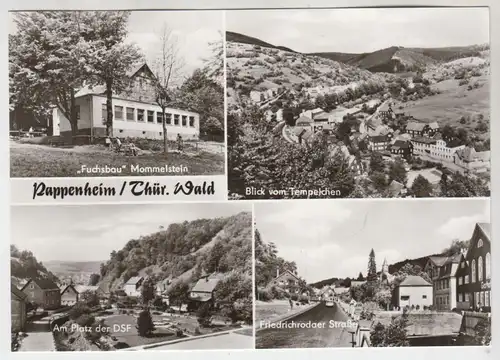 AK Pappenheim / Thür. Wald, ca. 1978, Auslese-Bild-Verlag, ungelaufen