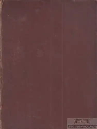 Buch: Streifzüge über Land und Meer, Orelli, F. Ca. 1860, Verlag August Riese