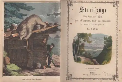 Buch: Streifzüge über Land und Meer, Orelli, F. Ca. 1860, Verlag August Riese