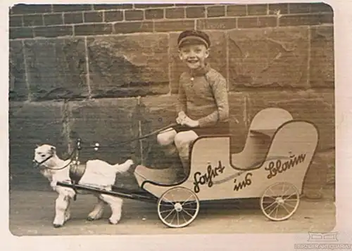 Fotografie Junge im Wagen mit vorgespannter Ziege, Fotografie. Fotobild