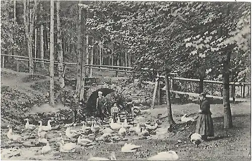 AK Finsterbergen, Thür. Wald. Gänselies'l im Leinatal. ca. 1912, Postkarte
