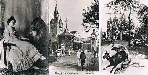 AK Sammlung Zoologischer Garten Leipzig, Postkarte. Ca. 1977