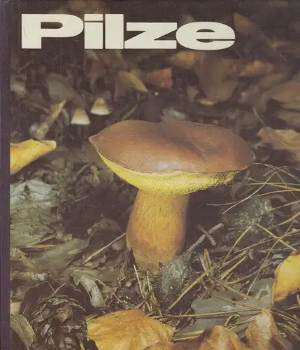 Buch: Pilze, Bickerich-Stoll, Katharina, 1986, Der Kinderbuchverlag