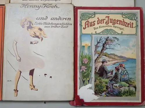 12 Mädchenbücher: Spechtloch, Waise, Daheim und draußen, Weiße Rosen, Elke ...